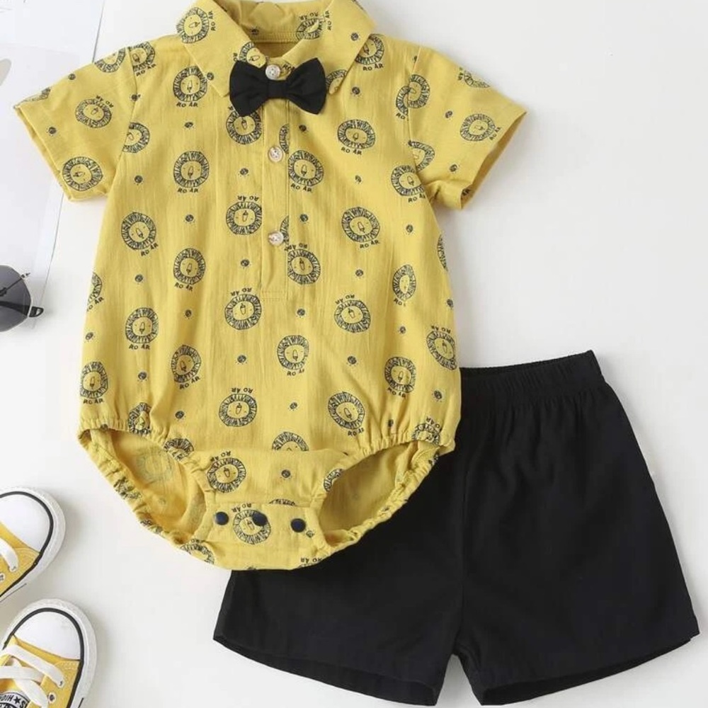 2 piece lion set